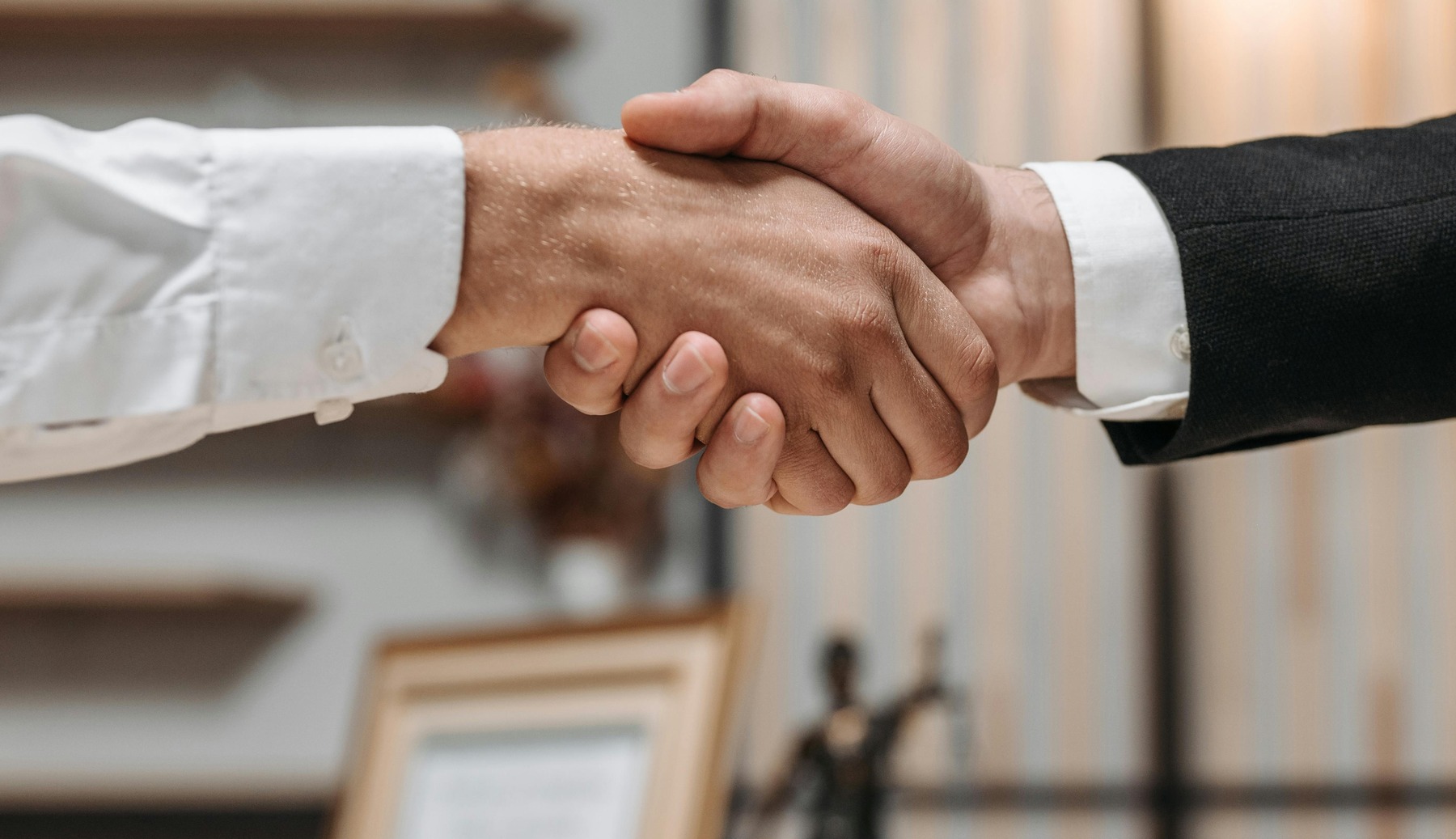Professional handshake